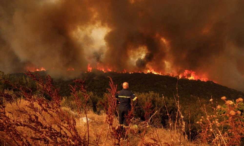 Εύβοια: Φωτιά ξέσπασε σε πυκνό δάσος - Δύσβατο το σημείο